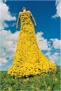 dandelion-dress